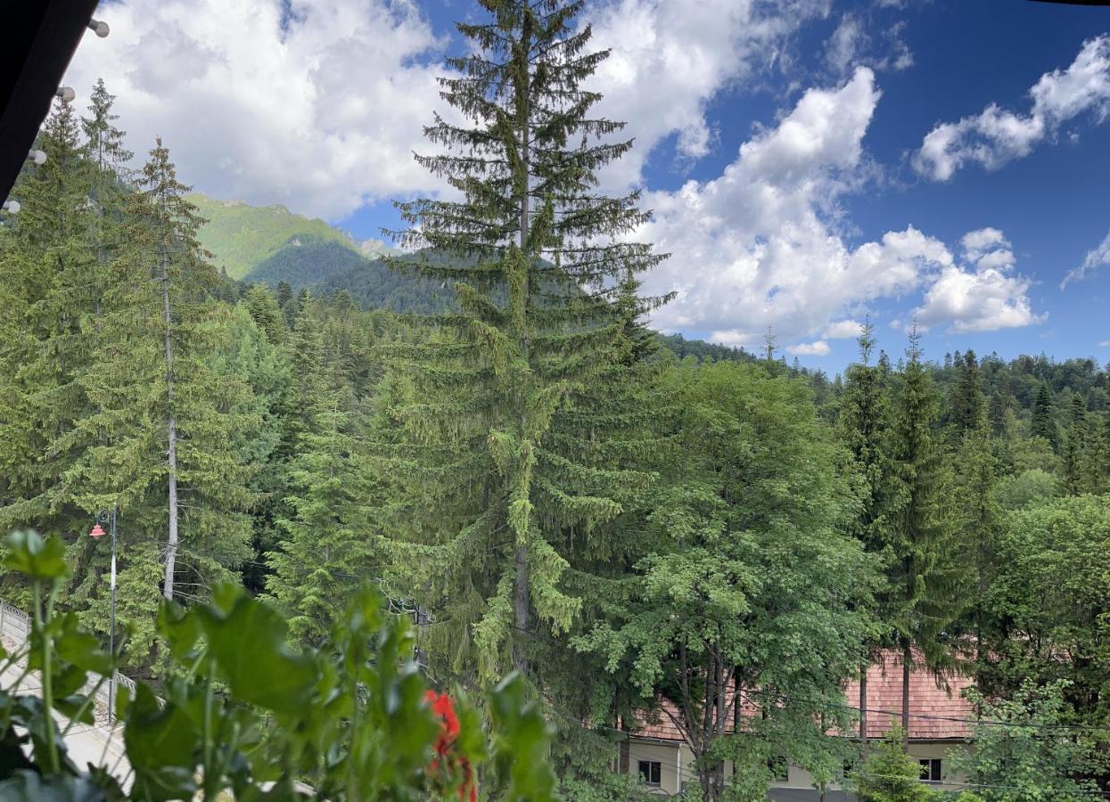 Casa Iris-Hotel & Restaurant Sinaia Exterior foto